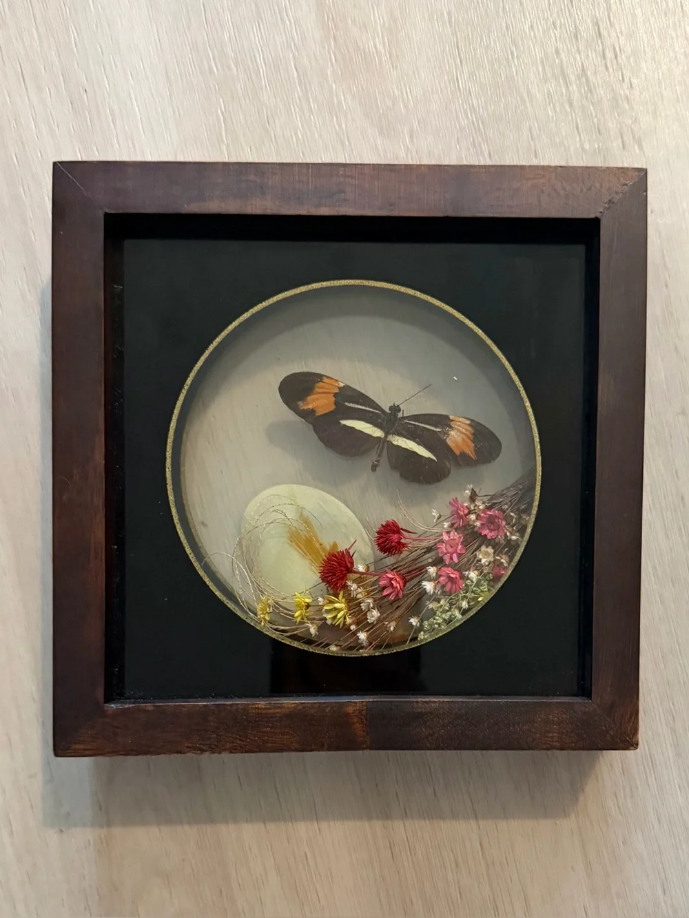 Vintage Taxidermy Butterfly / Dried Flowers Shadow Box Brazil Oddities Handmade